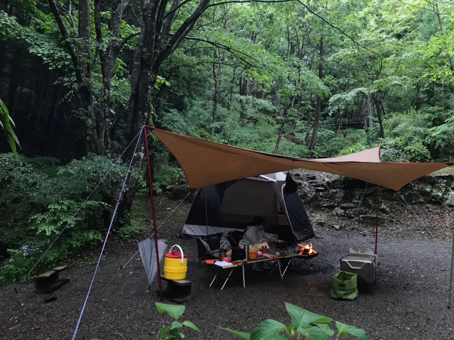 テンマクデザイン tent-mark 焚き火タープtcウイング 難燃シート 