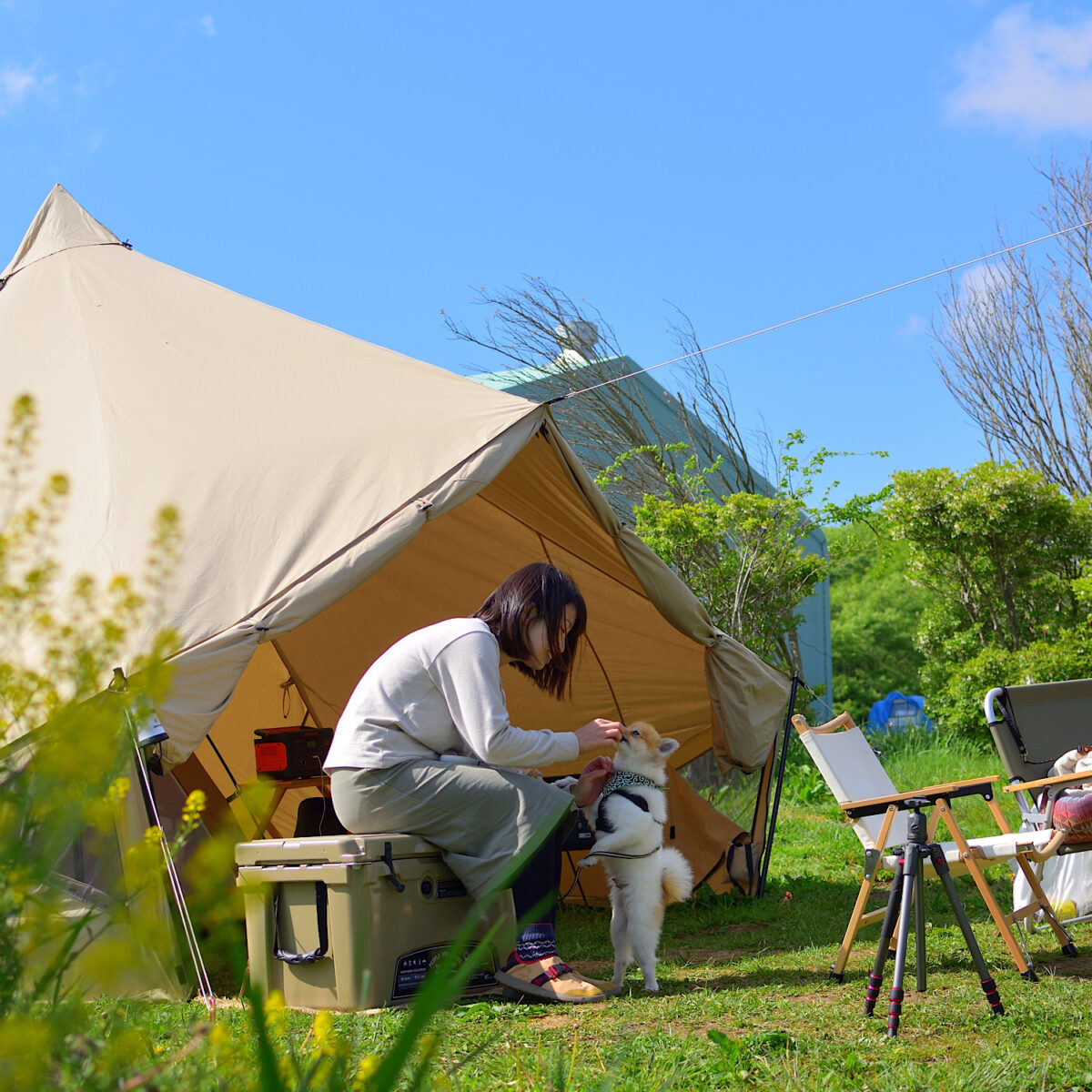 【愛犬と楽しむキャンプ】ogawaグロッケ12の広々レイアウト！
